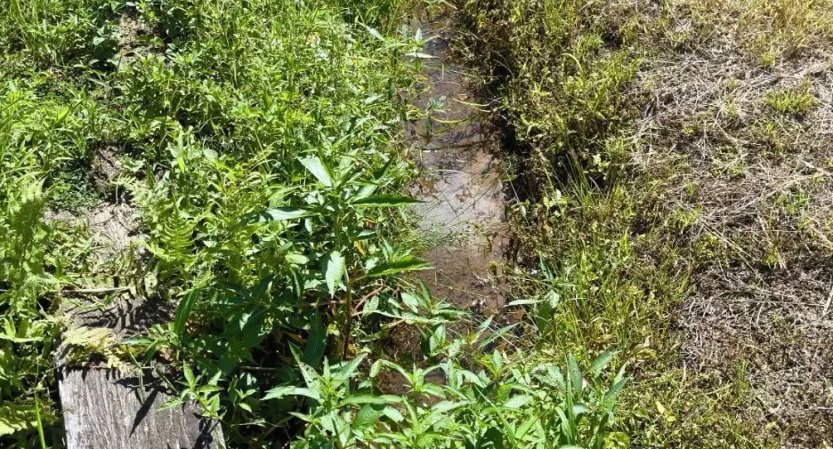 For sale land in Mae Ai, Chiang Mai