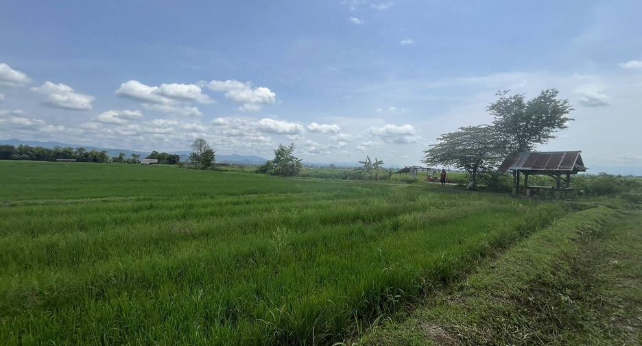 For sale land in Mae Ai, Chiang Mai
