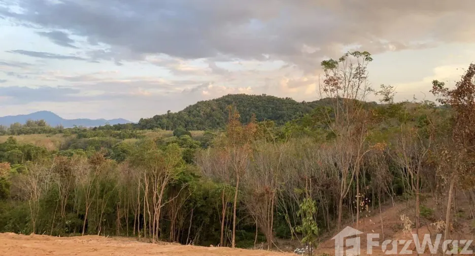 Grundstück zum Kauf in Thalang, Phuket