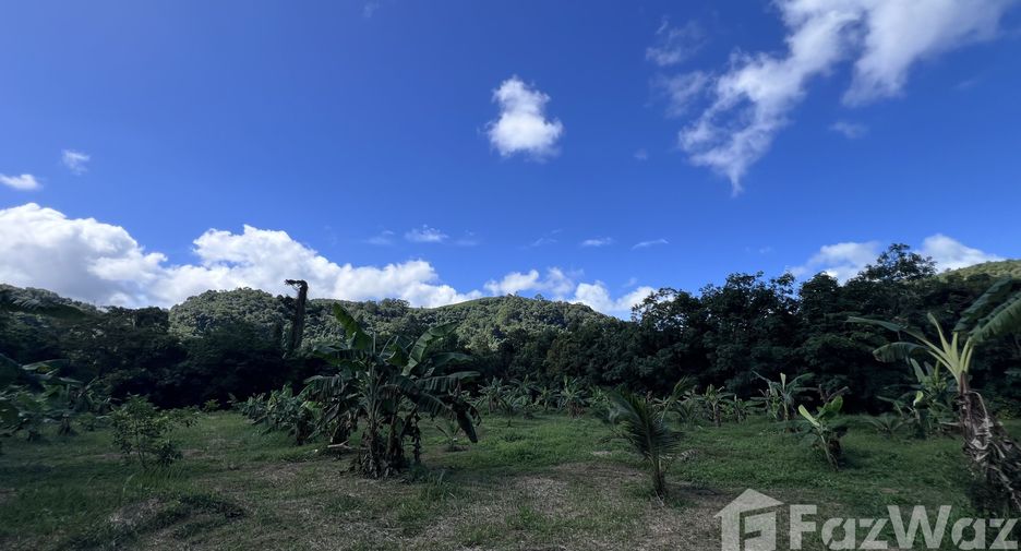 For sale land in Thalang, Phuket