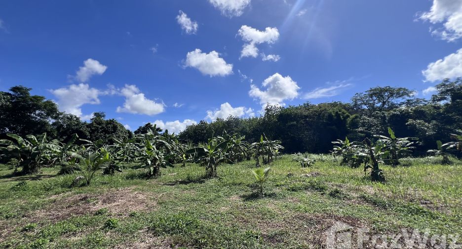 For sale land in Thalang, Phuket