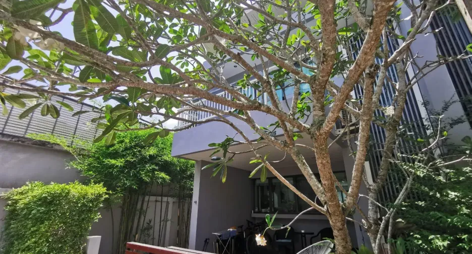Villa en alquiler de 3 habitaciones en Thalang, Phuket