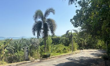 For sale land in Thalang, Phuket