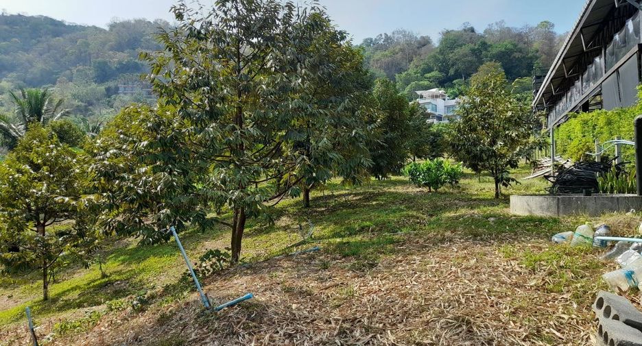 ขาย ที่ดิน ใน เมืองภูเก็ต, ภูเก็ต