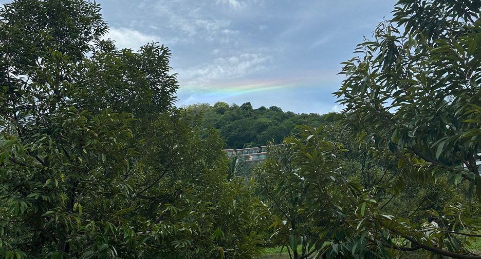 ขาย ที่ดิน ใน เมืองภูเก็ต, ภูเก็ต
