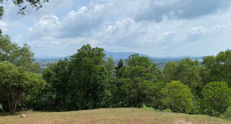 ขาย ที่ดิน ใน เมืองภูเก็ต, ภูเก็ต