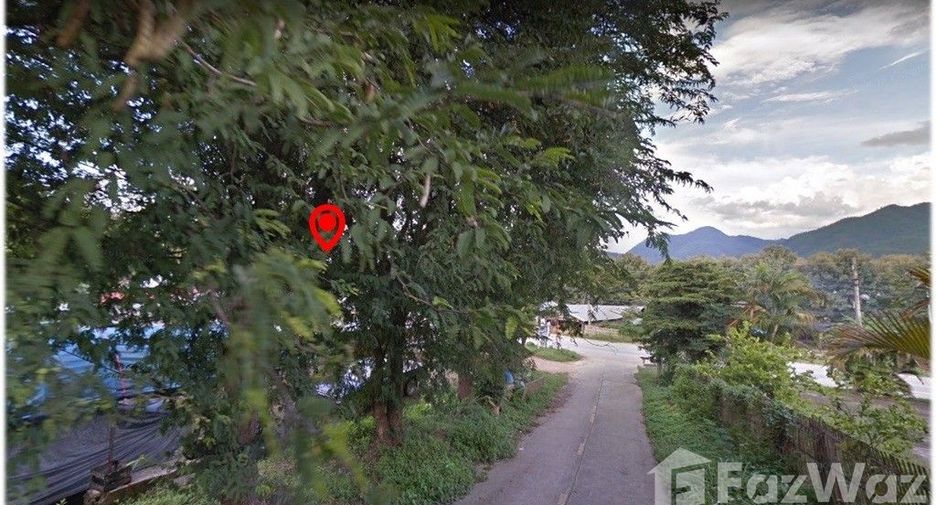 For sale land in Pai, Mae Hong Son