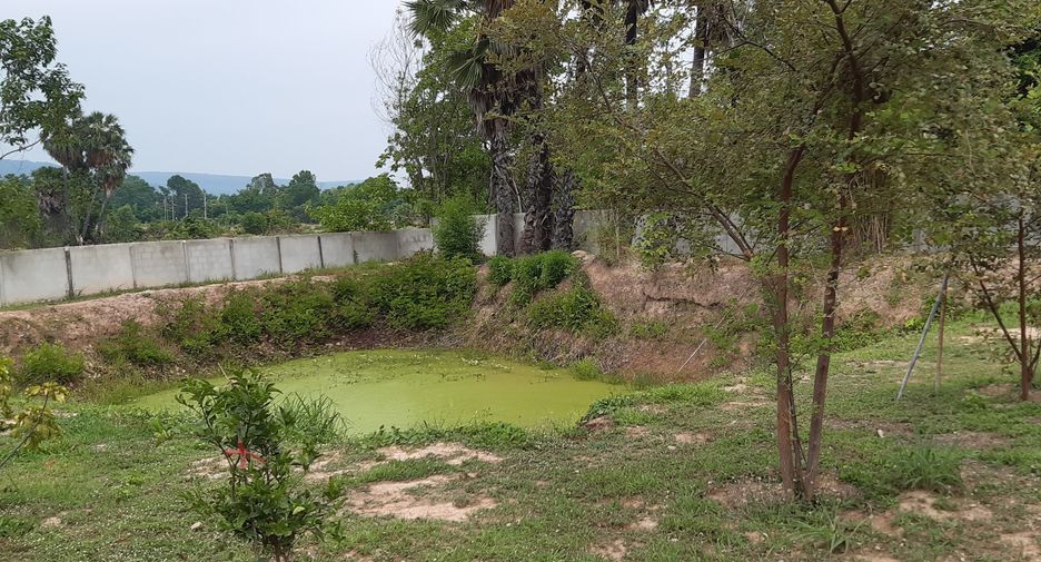 For sale 2 bedrooms house in Wang Thong, Phitsanulok
