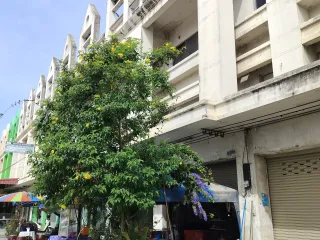 For sale 3 bedrooms retail Space in U Thong, Suphan Buri