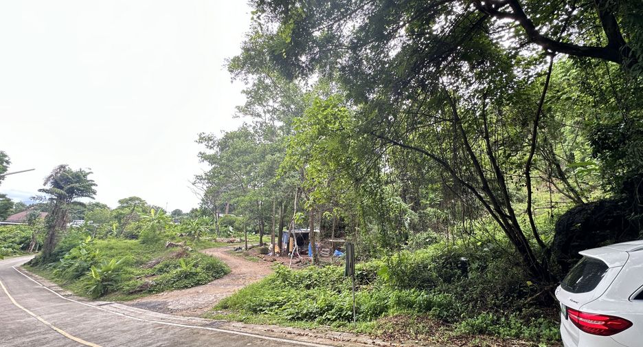For sale land in Mueang Phuket, Phuket