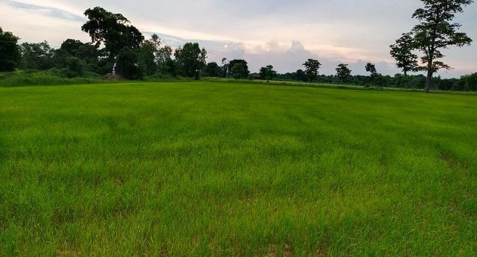 For sale land in Loeng Nok Tha, Yasothon