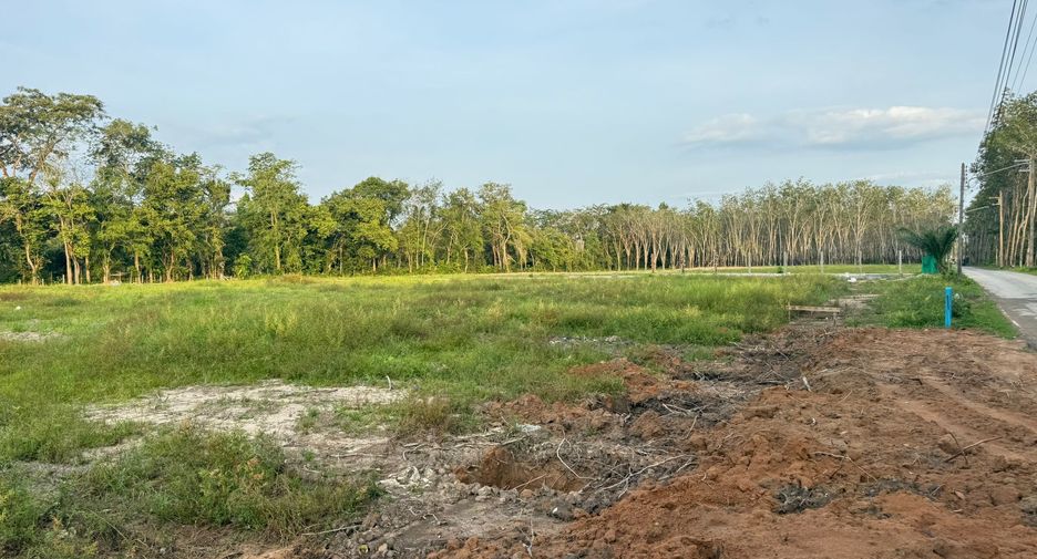 ขาย ที่ดิน ใน ถลาง, ภูเก็ต