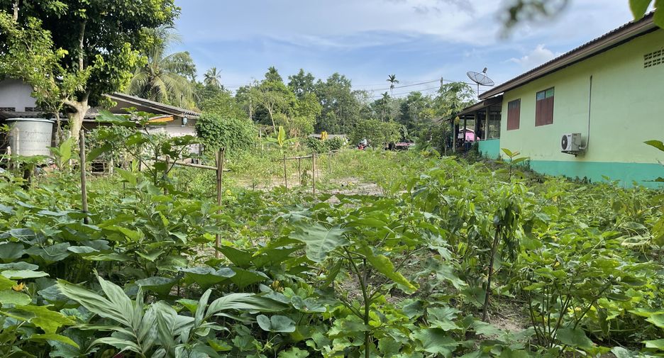 Grundstück zum Kauf in Tamot, Phatthalung