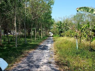ขาย ที่ดิน ใน ถลาง, ภูเก็ต