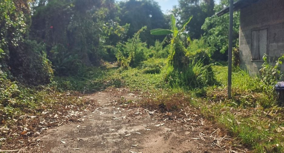 For sale land in Mueang Ubon Ratchathani, Ubon Ratchathani