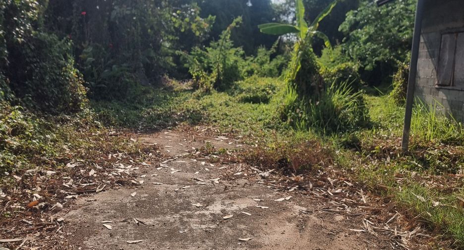For sale land in Mueang Ubon Ratchathani, Ubon Ratchathani