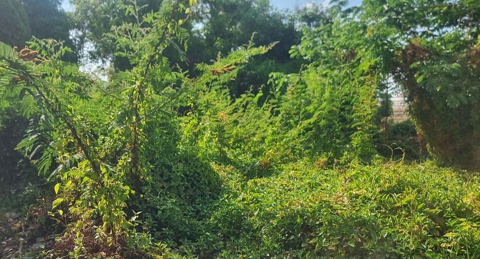 Terreno en venta en Mueang Ubon Ratchathani, Ubon Ratchathani