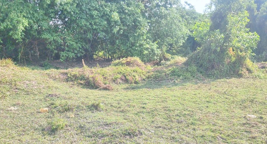 For sale land in Mueang Ubon Ratchathani, Ubon Ratchathani