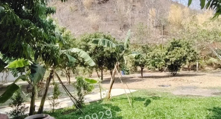 For sale land in Mueang Kanchanaburi, Kanchanaburi