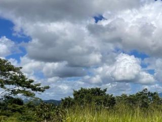 For sale land in Kantang, Trang