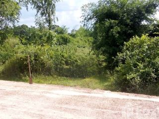 For sale land in Tha Uthen, Nakhon Phanom