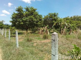 For sale land in Thalang, Phuket