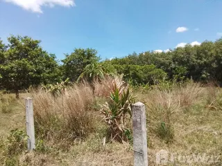 For sale land in Thalang, Phuket