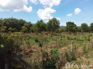 For sale land in Thalang, Phuket