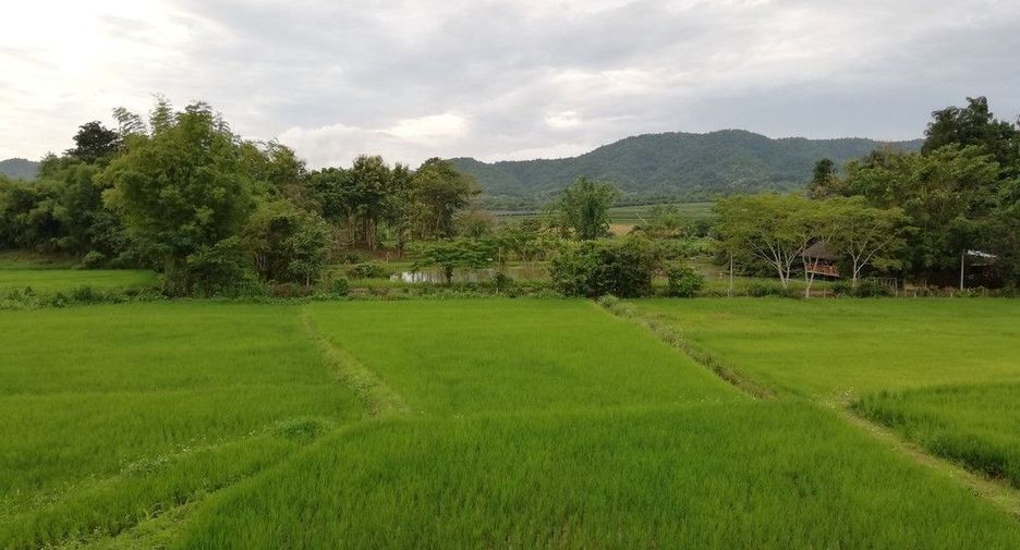 出租 4 卧室 独立屋 在 Mueang Chiang Rai, Chiang Rai