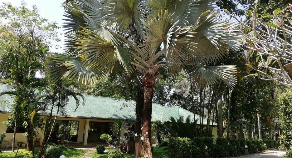 À louer 4 chambres maison à Mueang Chiang Rai, Chiang Rai