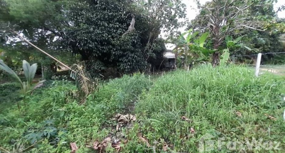 For sale land in Ko Chang, Trat