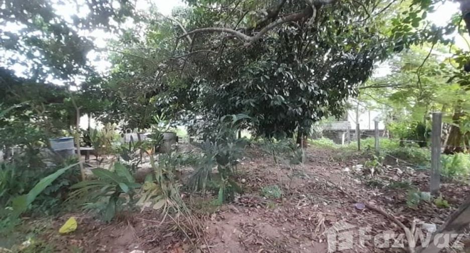 For sale land in Ko Chang, Trat