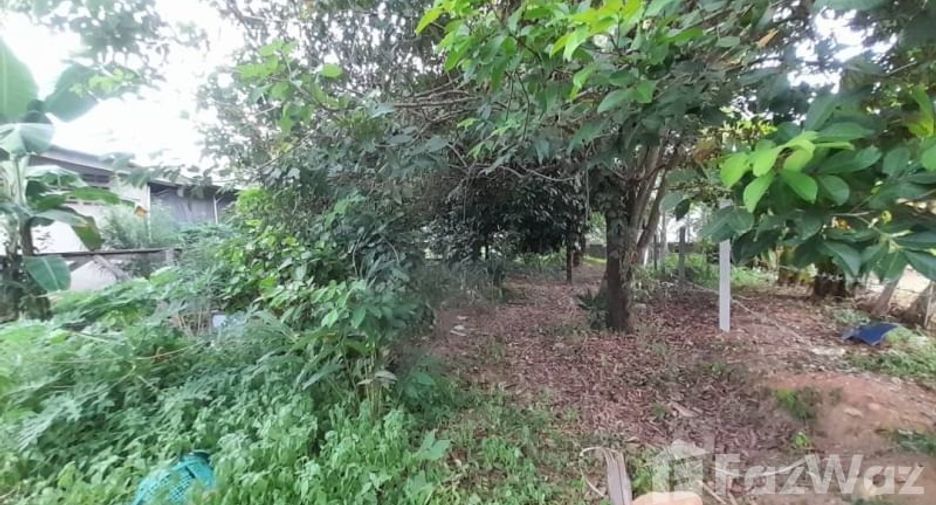 For sale land in Ko Chang, Trat