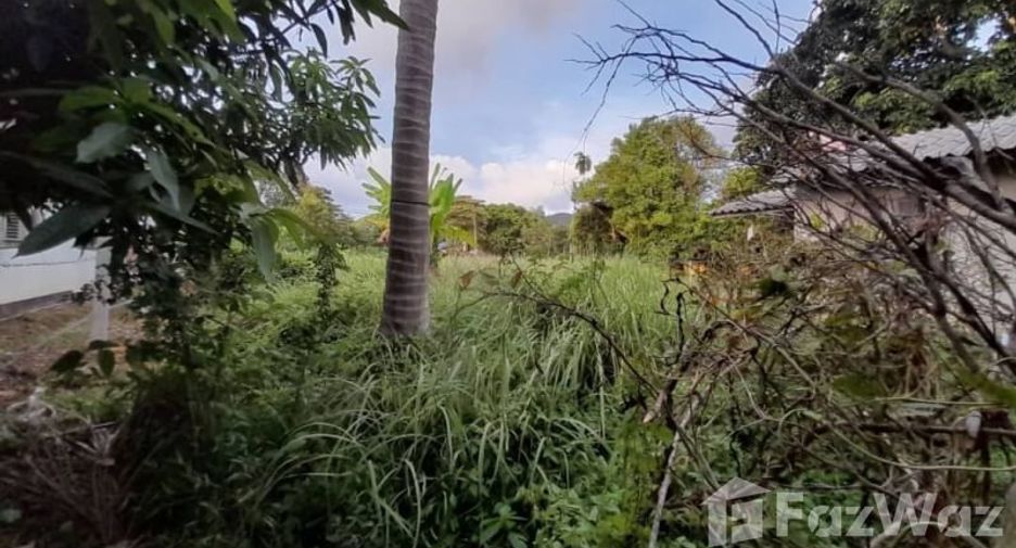 For sale land in Ko Chang, Trat