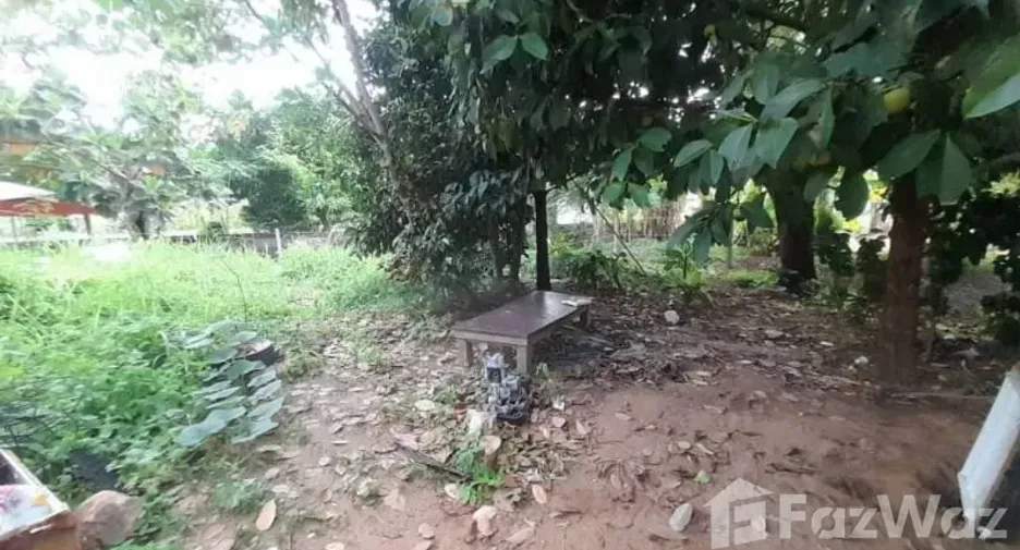 For sale land in Ko Chang, Trat