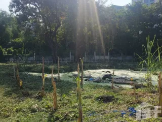 For sale land in Mueang Samut Prakan, Samut Prakan