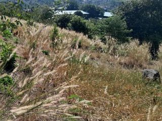 For sale land in Mueang Phuket, Phuket