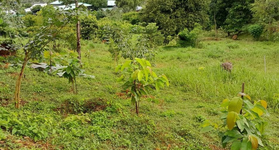 For sale land in Mueang Phuket, Phuket