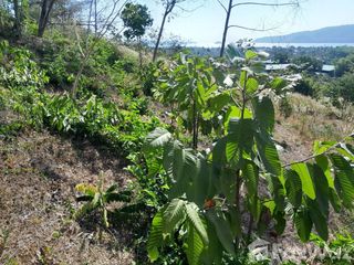 For sale land in Mueang Phuket, Phuket