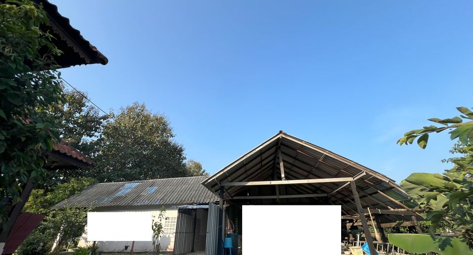 For sale land in Phrao, Chiang Mai