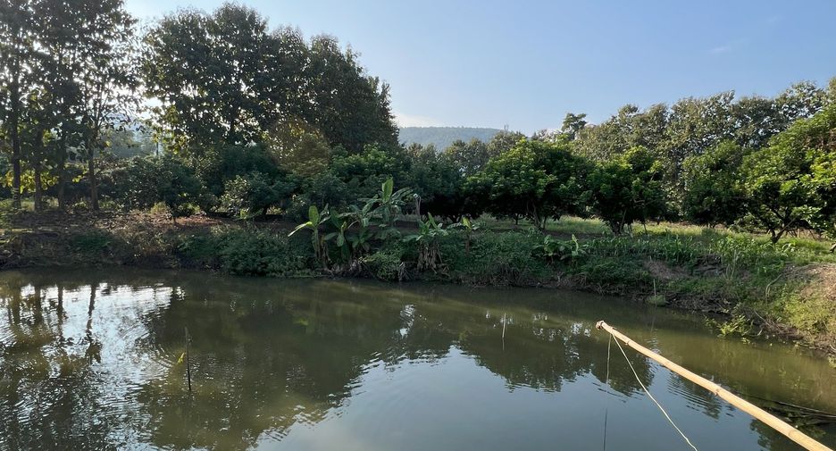 For sale land in Phrao, Chiang Mai