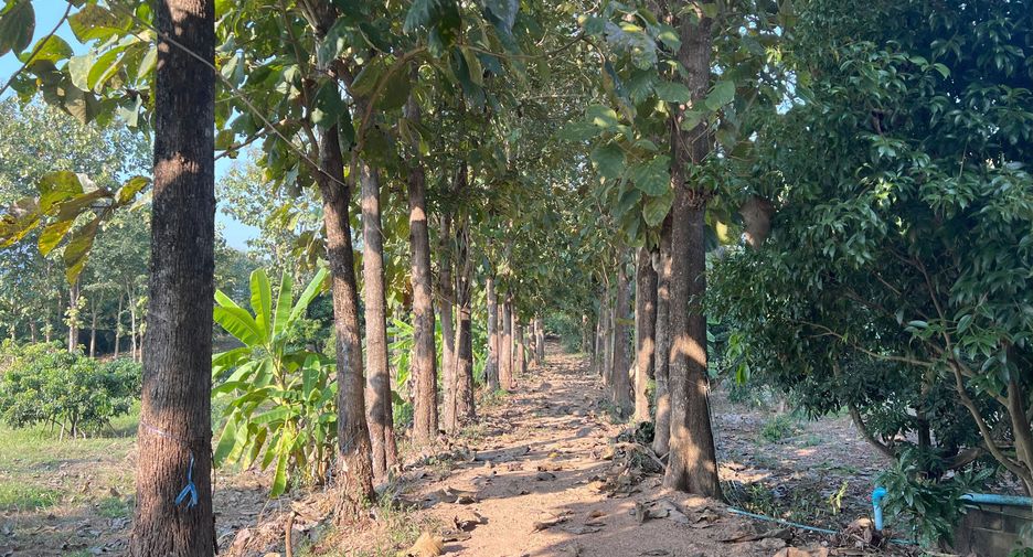 For sale land in Phrao, Chiang Mai