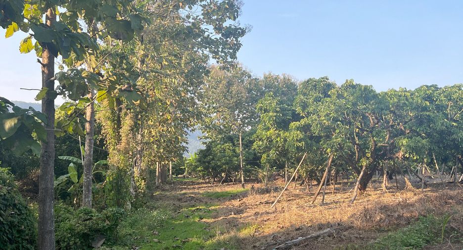 For sale land in Phrao, Chiang Mai