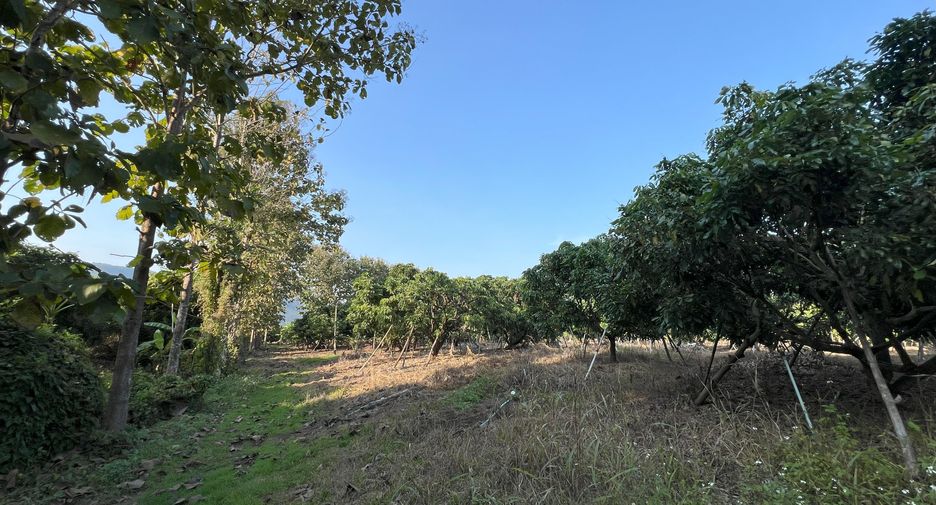 For sale land in Phrao, Chiang Mai