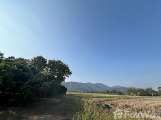 For sale land in Phrao, Chiang Mai