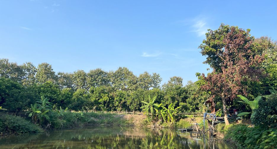 For sale land in Phrao, Chiang Mai