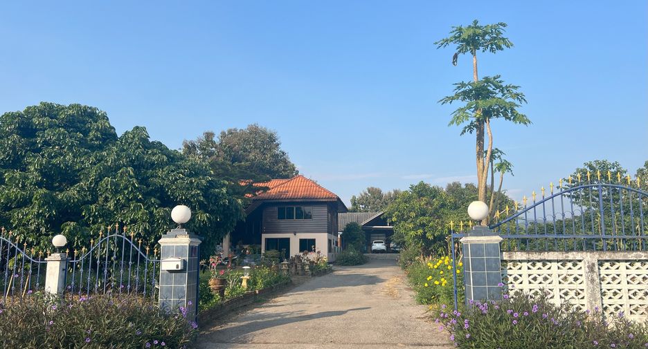 For sale land in Phrao, Chiang Mai