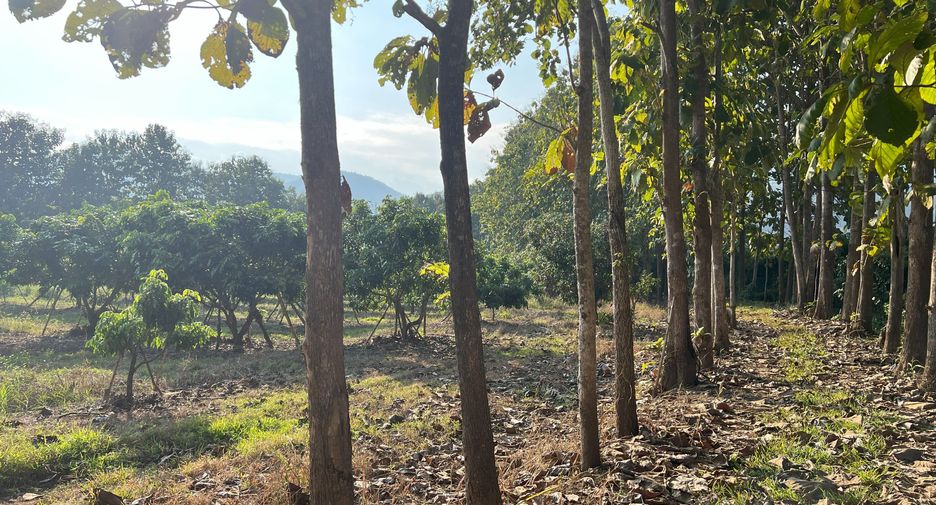 For sale land in Phrao, Chiang Mai