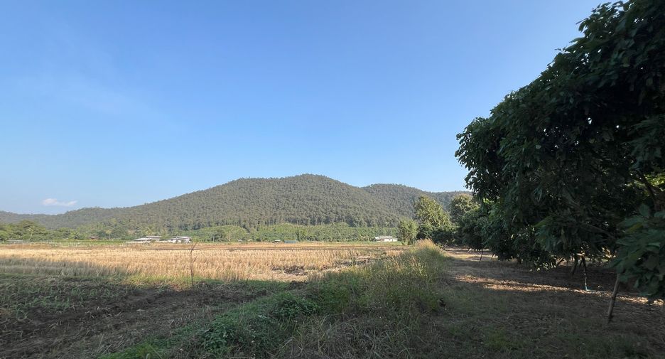 For sale land in Phrao, Chiang Mai