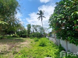 For sale land in Mae Chan, Chiang Rai